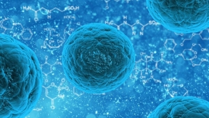 Investigadores israelíes desarrollan un algoritmo que puede predecir enfermedades infecciosas