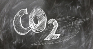 Científicos  israelíes reconfiguran bacteria para que "coma" dióxido de carbono
