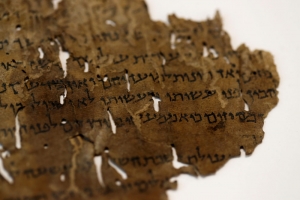 El ADN de los Manuscritos del Mar Muerto dan claves para su comprensión